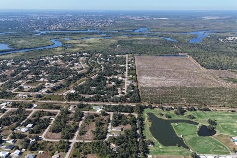 Land in Punta Gorda, Florida № 2162871 - photo 14