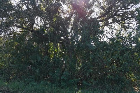 Land in Punta Gorda, Florida № 2162871 - photo 8
