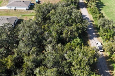 Land in Punta Gorda, Florida № 2162871 - photo 5