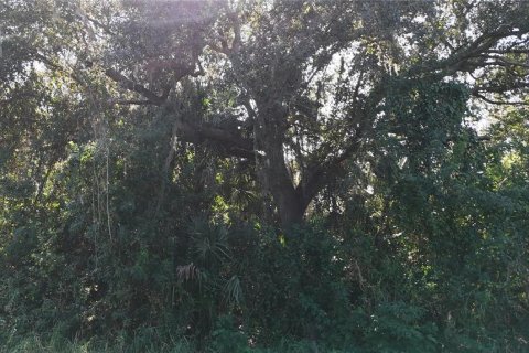 Land in Punta Gorda, Florida № 2162871 - photo 12