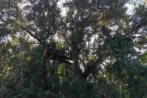 Land in Punta Gorda, Florida № 2162871 - photo 19
