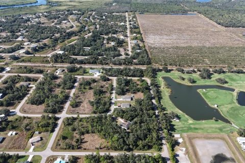 Land in Punta Gorda, Florida № 2162871 - photo 11