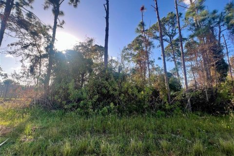 Land in Port Charlotte, Florida № 2160113 - photo 3