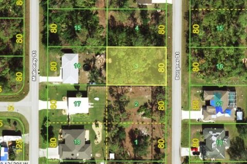 Land in Port Charlotte, Florida № 2160113 - photo 4