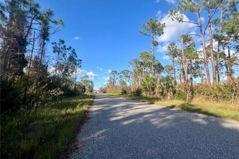 Land in Port Charlotte, Florida № 2160113