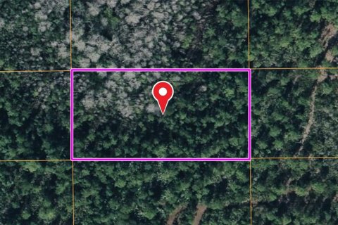 Land in Orlando, Florida № 2158921