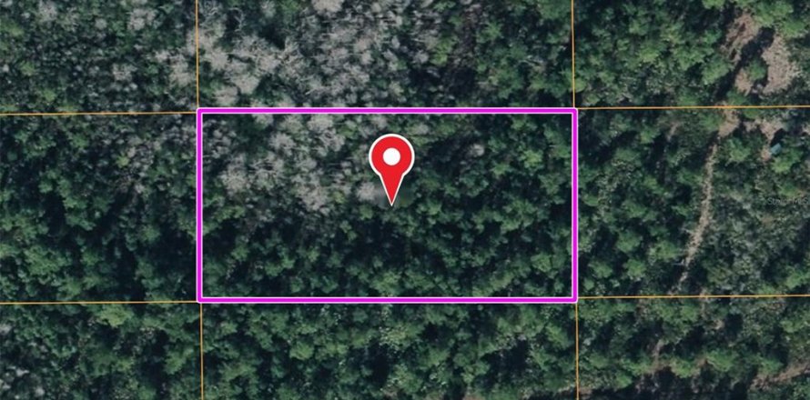 Land in Orlando, Florida № 2158921