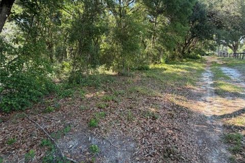 Terrain à vendre à Dunnellon, Floride № 2217696 - photo 6