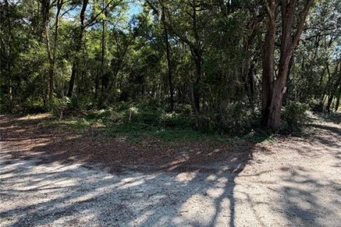 Terrain à vendre à Dunnellon, Floride № 2217696 - photo 3