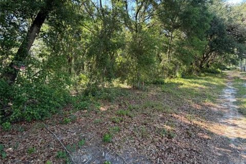 Terrain à vendre à Dunnellon, Floride № 2217696 - photo 5