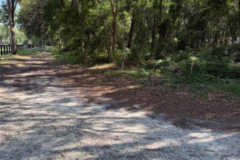 Terrain à vendre à Dunnellon, Floride № 2217696 - photo 4