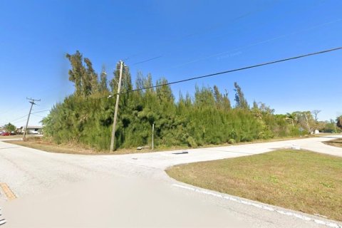 Terrain à vendre à Punta Gorda, Floride № 2195227 - photo 2