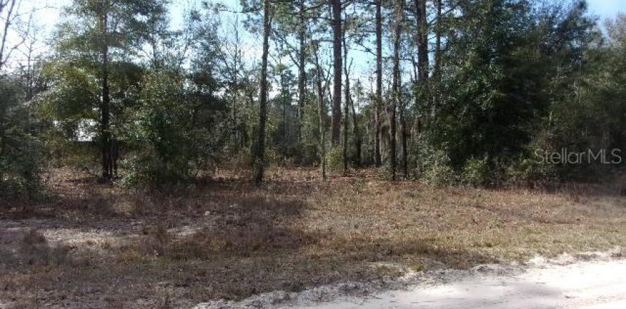 Land in Ocala, Florida № 1512397