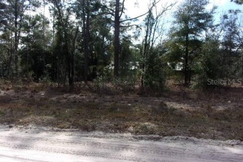 Land in Ocala, Florida № 1512397 - photo 2