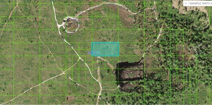 Terreno en Lake Wales, Florida № 2202837