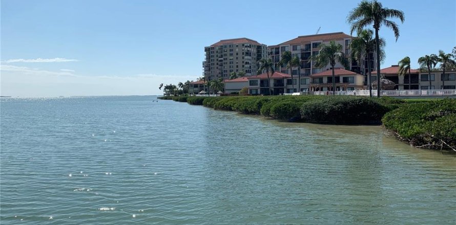 Studio à Condo à Saint Petersburg, Floride № 1571020
