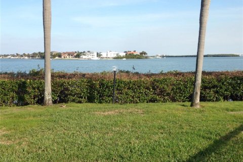Copropriété à louer à Saint Petersburg, Floride: 1 chambre, 72.46 m2 № 1571020 - photo 22