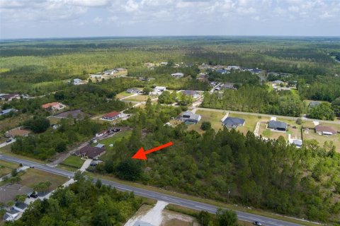 Купить земельный участок в Орландо, Флорида № 2212906 - фото 4