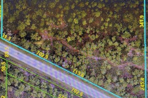 Land in Myakka City, Florida № 1723583 - photo 1