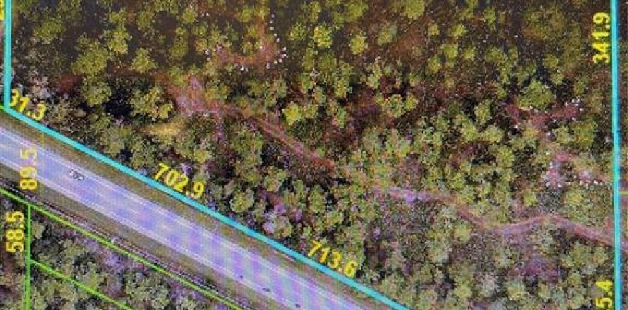 Land in Myakka City, Florida № 1723583