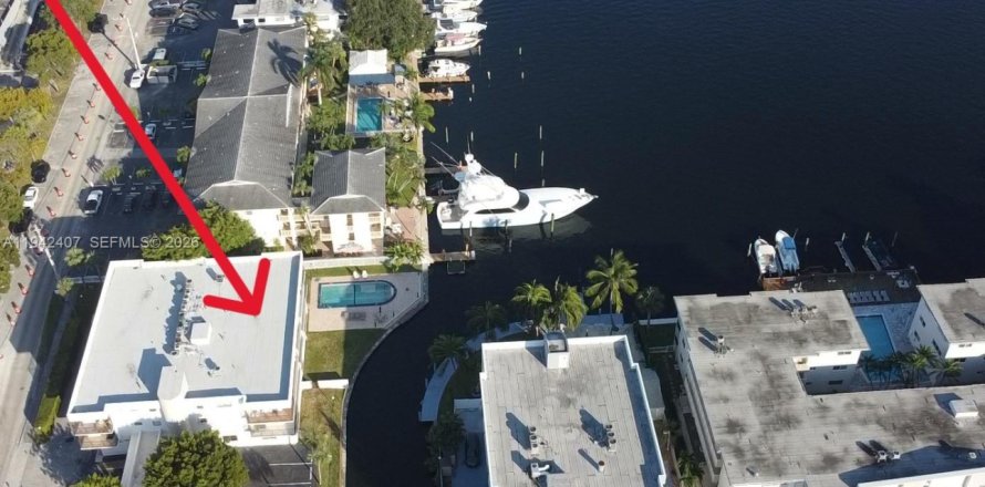 Condo à Hallandale Beach, Floride, 1 chambre № 1999950