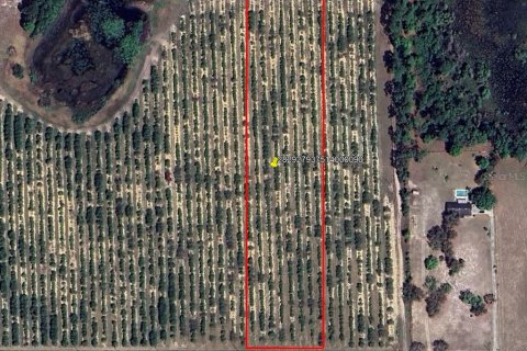 Land in Lake Wales, Florida № 1767453 - photo 1