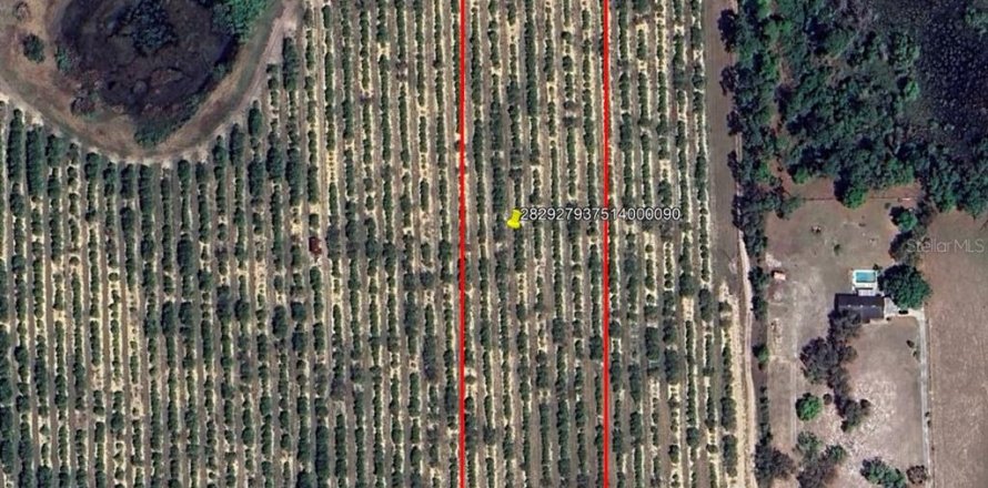 Land in Lake Wales, Florida № 1767453