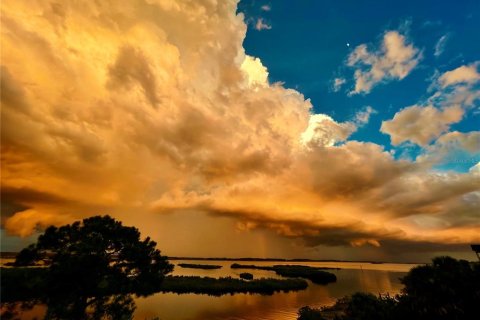 Villa ou maison à vendre à Weeki Wachee, Floride: 3 chambres, 151.9 m2 № 1813694 - photo 12