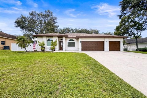 House in Palm Harbor, Florida 6 bedrooms, 373.37 sq.m. № 2322658