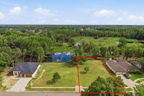 Land in Tampa, Florida № 2200950
