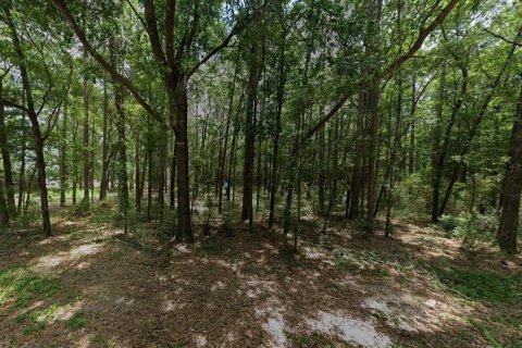Terreno en venta en Milton, Florida № 1772925 - foto 2