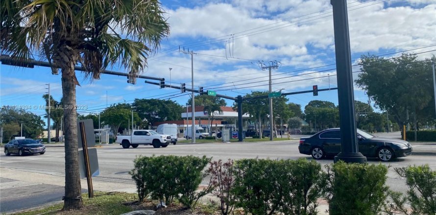 Immobilier commercial à Lauderhill, Floride № 868826