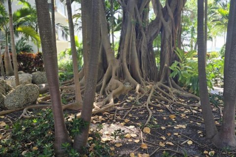 Купить кондоминиум в Майами, Флорида 1 спальня, 72м2, № 1945087 - фото 15