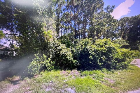 Land in Rotonda, Florida № 2234538