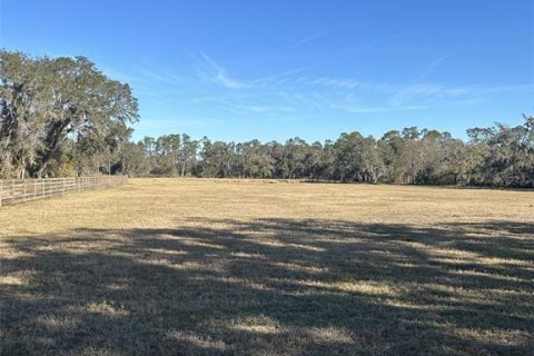 Terreno en venta en Dover, Florida № 1909120 - foto 2