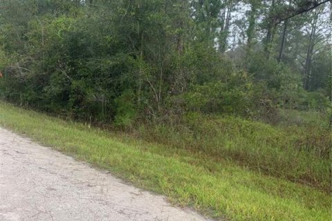 Land in Webster, Florida № 2195162 - photo 6