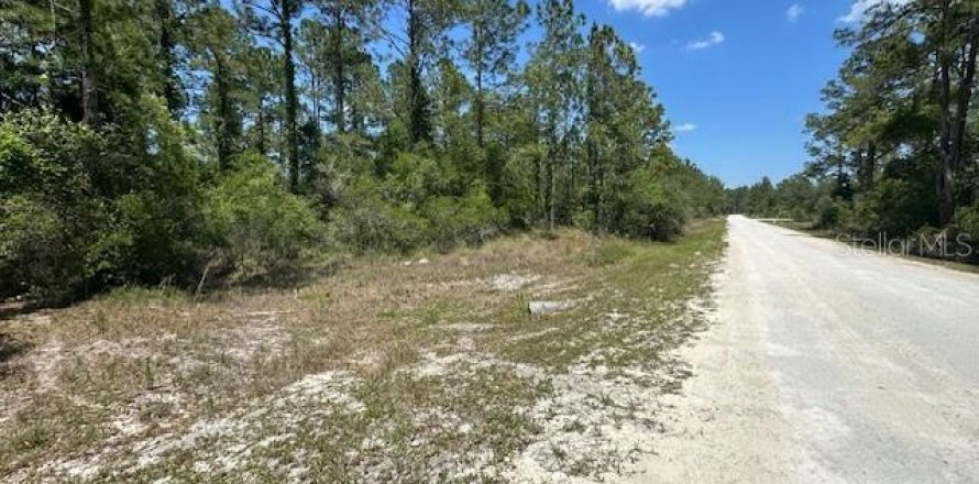 Land in Webster, Florida № 2195162
