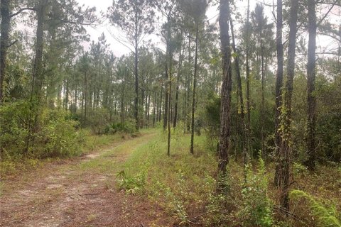 Land in Webster, Florida № 2195162 - photo 4