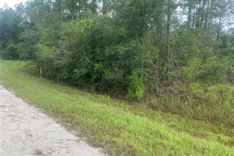 Land in Webster, Florida № 2195162 - photo 2