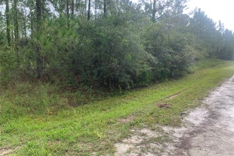Land in Webster, Florida № 2195162 - photo 3