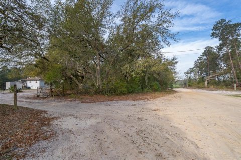 House in Eustis, Florida 4 bedrooms, 167.5 sq.m. № 1592809 - photo 30