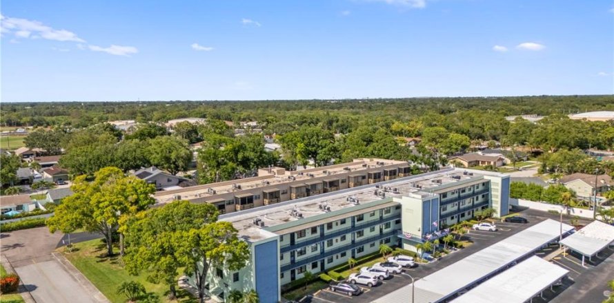 Condo à Saint Petersburg, Floride, 2 chambres № 2230759