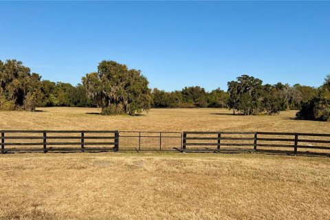Land in Ocala, Florida № 2122619