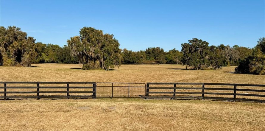 Terreno en Ocala, Florida № 2122619