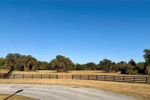Terreno en venta en Ocala, Florida № 2122619 - foto 3