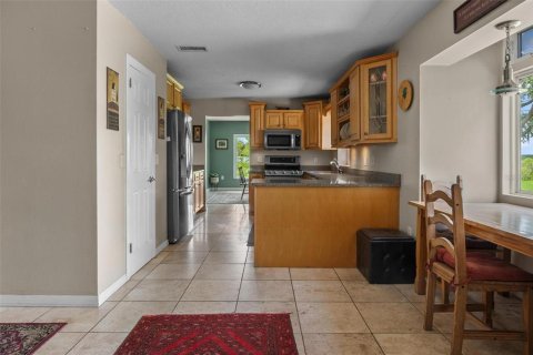 Casa en venta en Lake Wales, Florida, 3 dormitorios, 195.84 m2 № 1777403 - foto 10