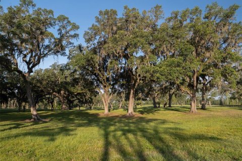 Terreno en venta en Ocala, Florida № 2097370 - foto 6
