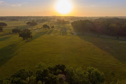 Terreno en venta en Ocala, Florida № 2097370 - foto 4