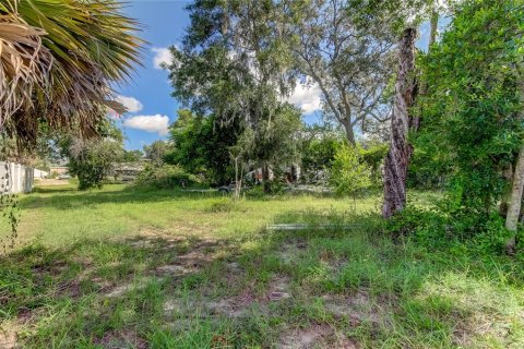 Land in Tarpon Springs, Florida № 1413208 - photo 4