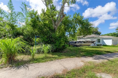 Land in Tarpon Springs, Florida № 1413208 - photo 11